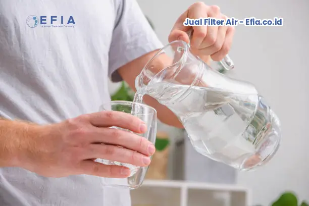 Rekomendasi Penjual Filter Air